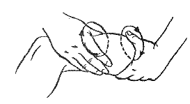 Если разминание выполняется одновременно, обе руки смещают мышцу в одну сторону (рис. 88), в случае же попеременного поперечного разминания одна рука должна . смещать мышцу на себя, а другая — от себя