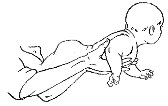 лежа на животе. Данное упражнение способствует укреплению мышц живота и развитию вестибулярного аппарата. Уложить ребенка на ладони животом вниз так, чтобы большие пальцы массажиста находились сбоку на нижних ребрах. Приподнять ребенка в горизонтальном положении, его ноги должны упираться в грудь взрослого. Туловище ребенка должно быть слегка выгнуто